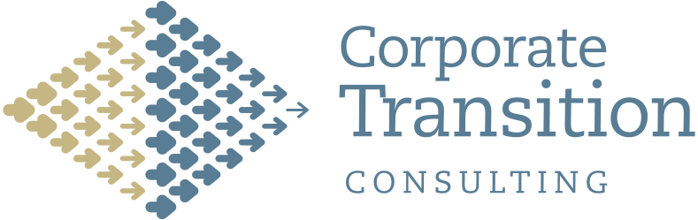 Corporate Transition Consulting